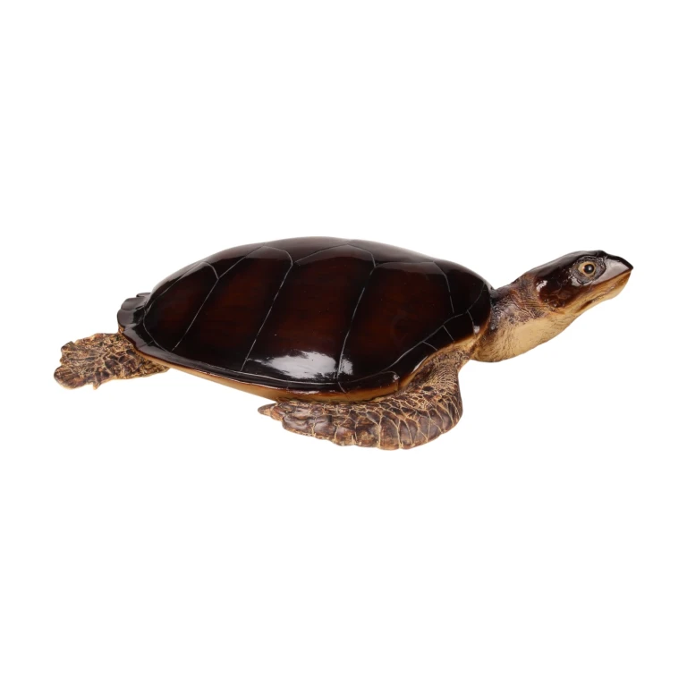 Schildpadbeeld - bruin - 88 x 23 cm