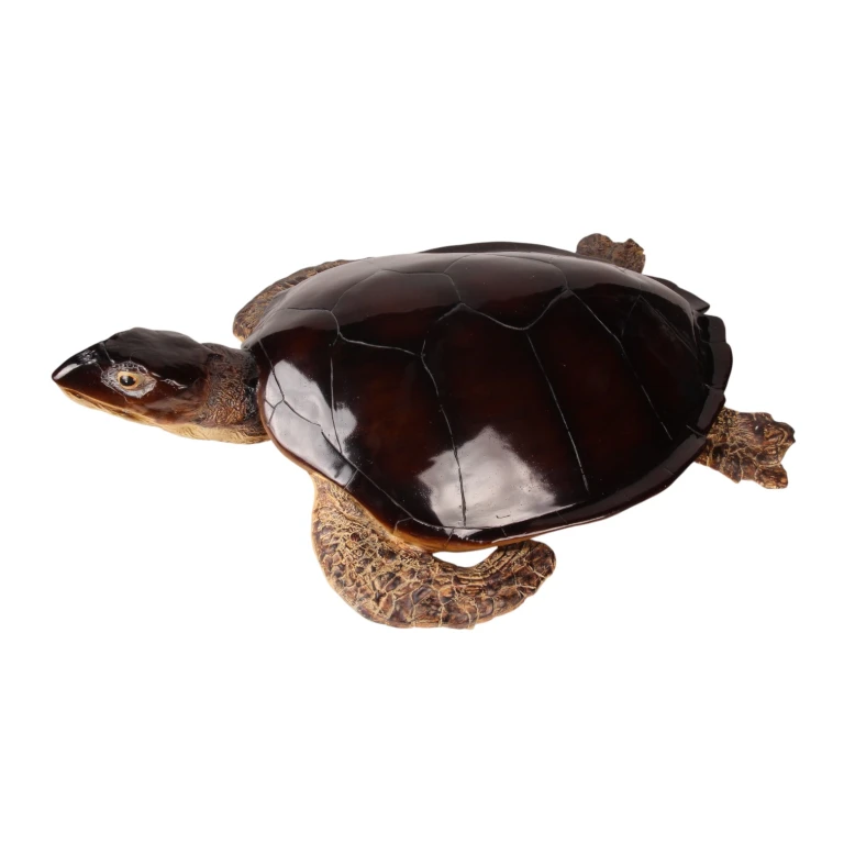 Schildpadbeeld - bruin - 88 x 23 cm